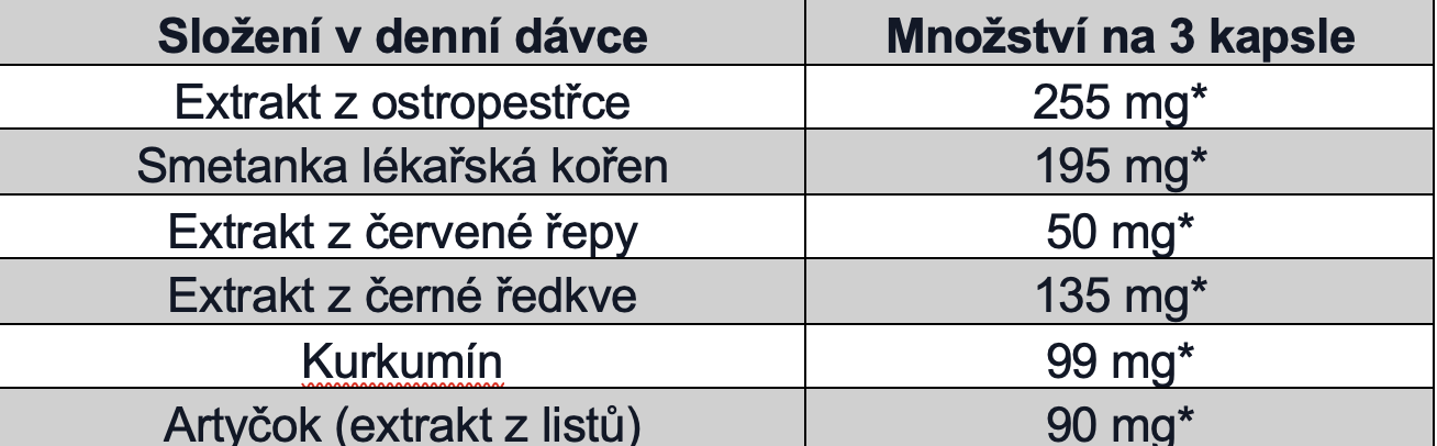 Snímek obrazovky 2025-01-08 v 10.27.15